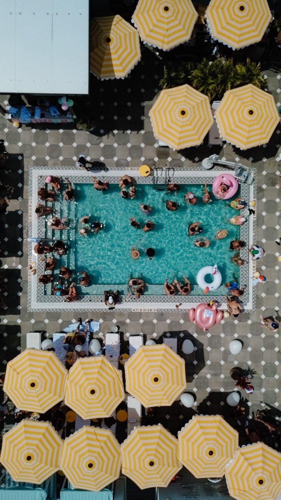 Top-down drone view of a rooftop hotel pool with loungers — hotel content by Orange Grove Social